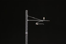 Palo_modello_LS_4ec0babaa87a1.jpg